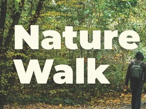 Field Trip - Nature Walk 2026