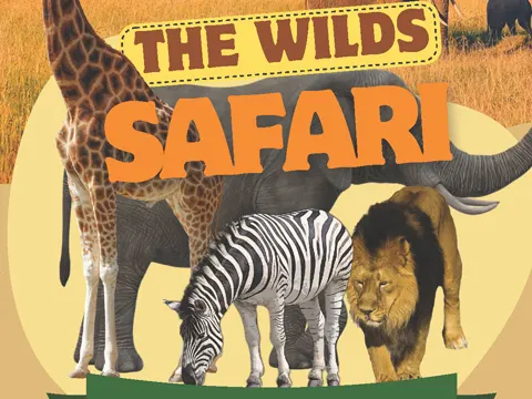 Field Trip - The Wilds